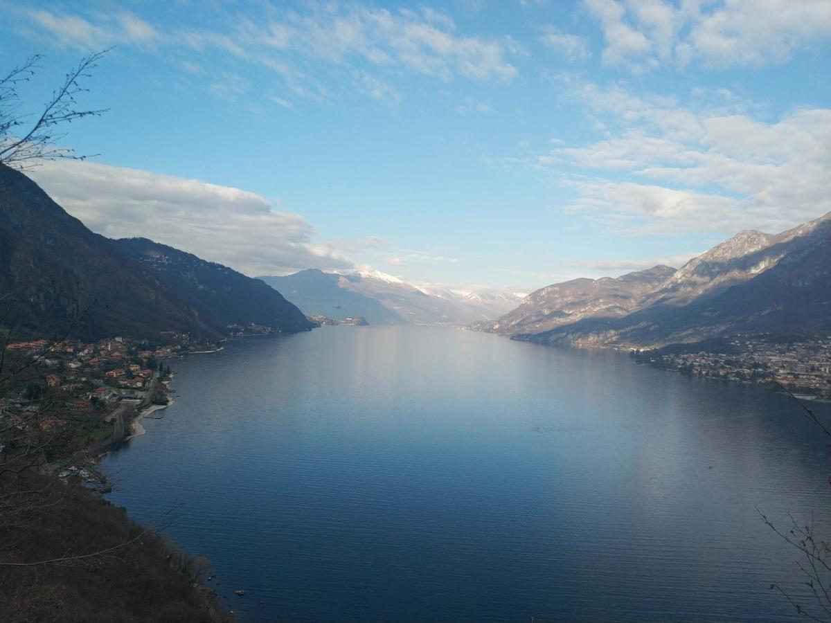 Apartment A Lago Private Beach And Parking Oliveto Lario Exterior foto
